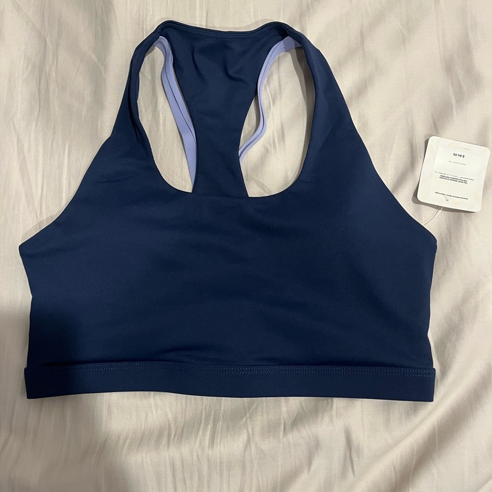 Fabletics Deep Blue Sports Bra